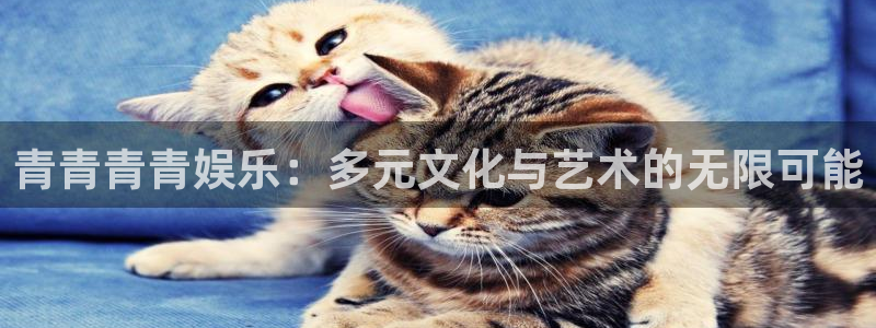 乐天堂fun88备用网址：青青青青娱乐：多元文化与艺术的无限可能