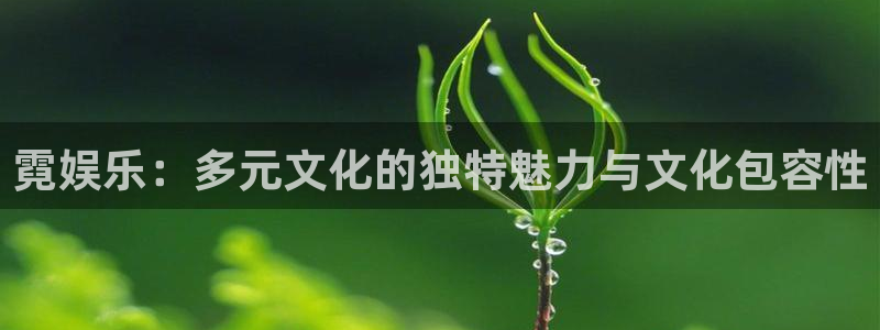fun88·天堂乐：霓娱乐：多元文化的独特魅力与文化包容性