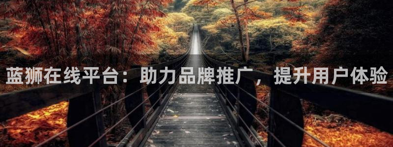 fun88city网页版登录：蓝狮在线平台：助力品牌推广，提升用户体验
