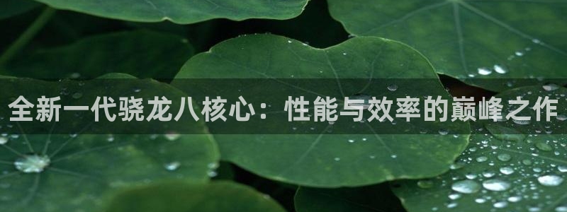 fun88网页版登录：全新一代骁龙八核心：性能与效率的巅峰之作