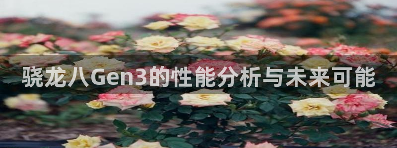 乐天堂fun88备用网址：骁龙八Gen3的性能分析与未来可能