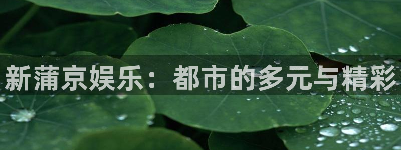 乐天堂fun88备用网址