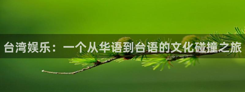 乐天堂fun88：台湾娱乐：一个从华语到台语的文化碰撞之旅
