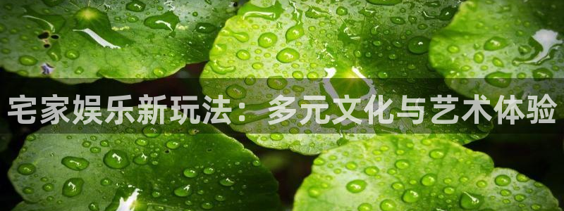 乐天堂fun88备用网址：宅家娱乐新玩法：多元文化与艺术体验