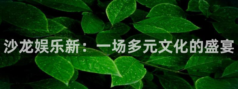 乐天天堂fun88：沙龙娱乐新：一场多元文化的盛宴