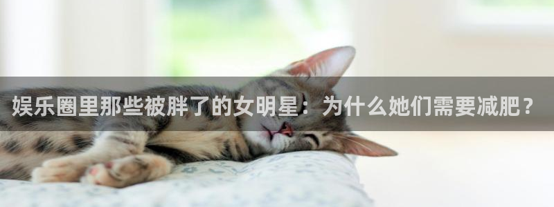 fun88乐天堂：娱乐圈里那些被胖了的女明星：为什么她们需要减肥？