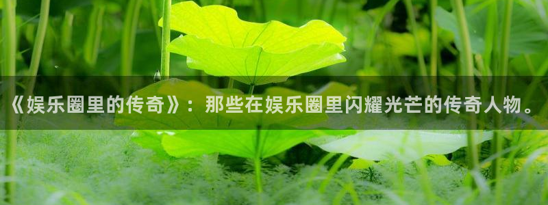fun88环球：《娱乐圈里的传奇》：那些在娱乐圈里闪耀光芒的传奇人物。
