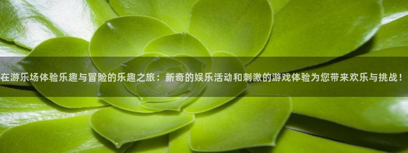 fun88·乐天堂：在游乐场体验乐趣与冒险的乐趣之旅：新奇的娱乐活动和刺激的游戏体验为您带来欢乐与挑战！