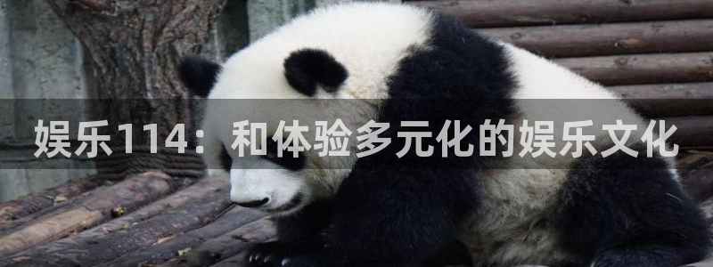 fun88：娱乐114：和体验多元化的娱乐文化