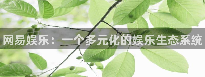 fun88：网易娱乐：一个多元化的娱乐生态系统