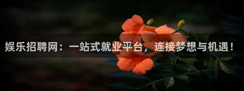 fun88环球视点